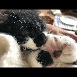 Meet your Posher, Gale